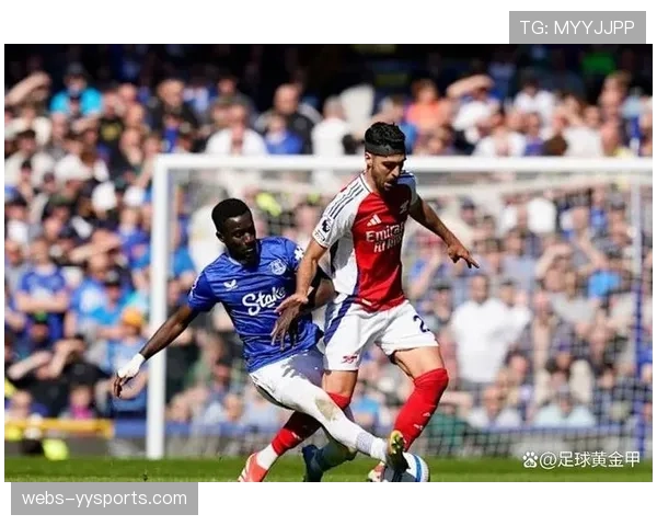 埃弗顿老将盖耶关键进球 助球队主场取胜